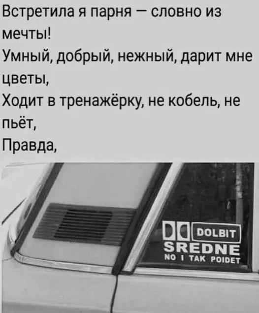 Всюду рифмы