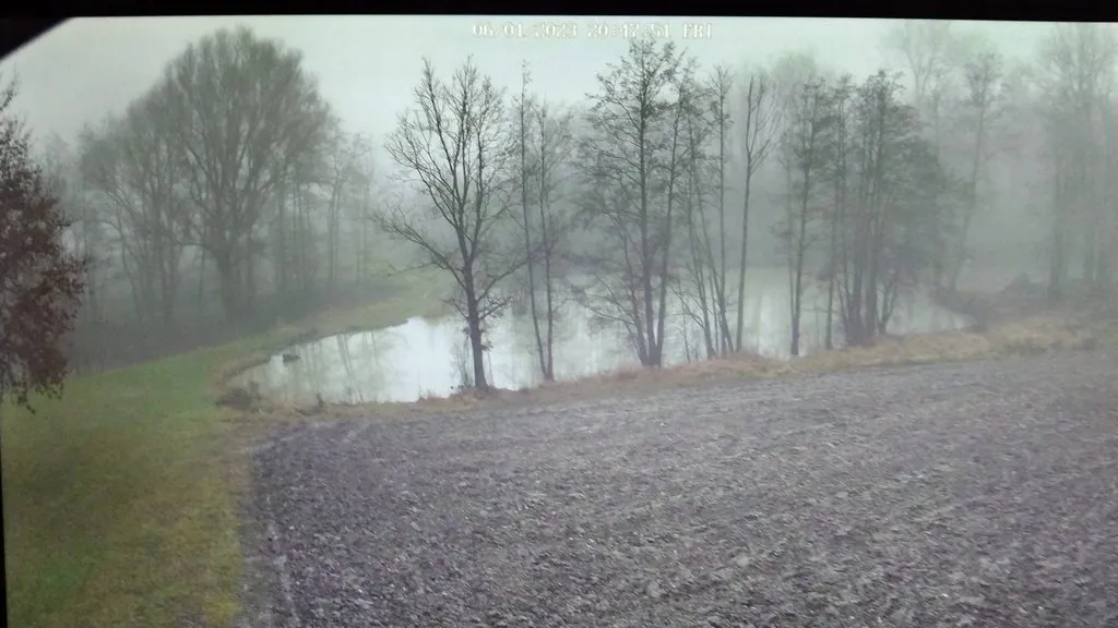 Чайная беседка