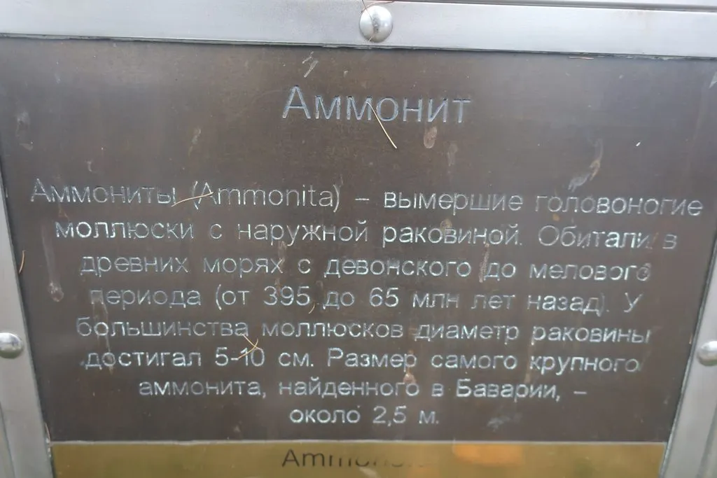 И снова, через год, встречай, Калининград!