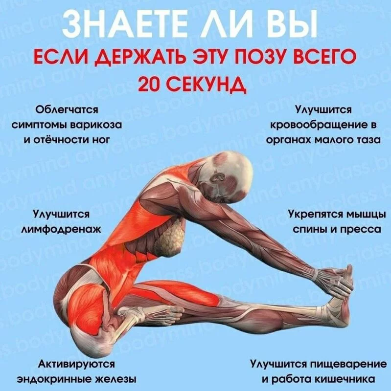 Медицинская инфографика