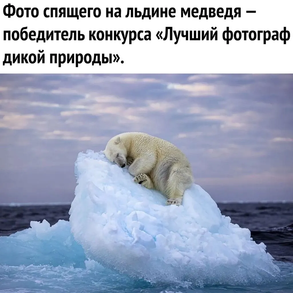 Это интересно!