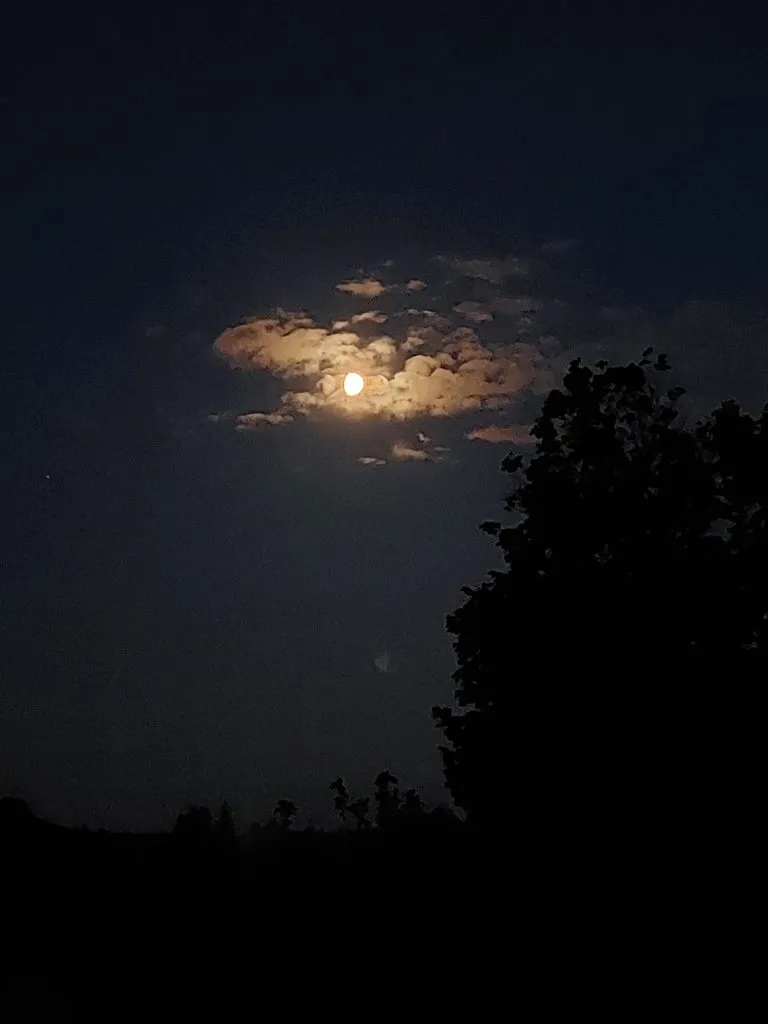 Такое разное небо