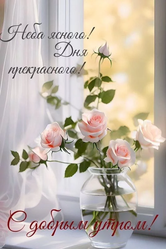 Кафе "У пани Сони"