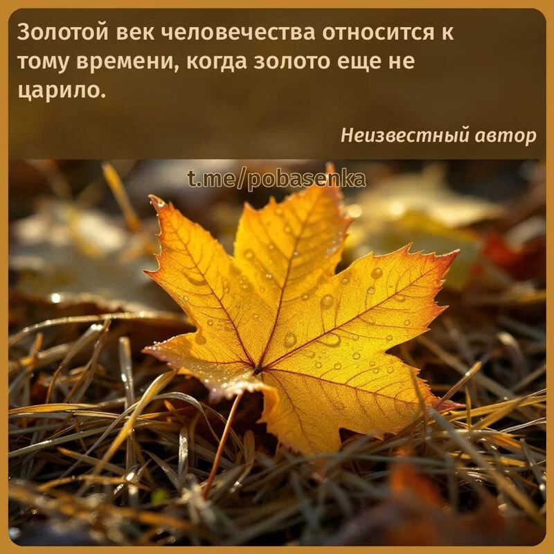 «Золотой век человечества относится к тому времени, когда золото еще не...» height="550" width="550"