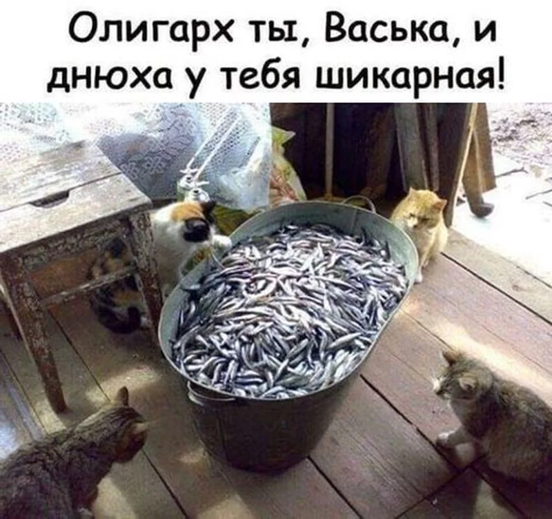 Посмеялся сам - поделись с другом!!!