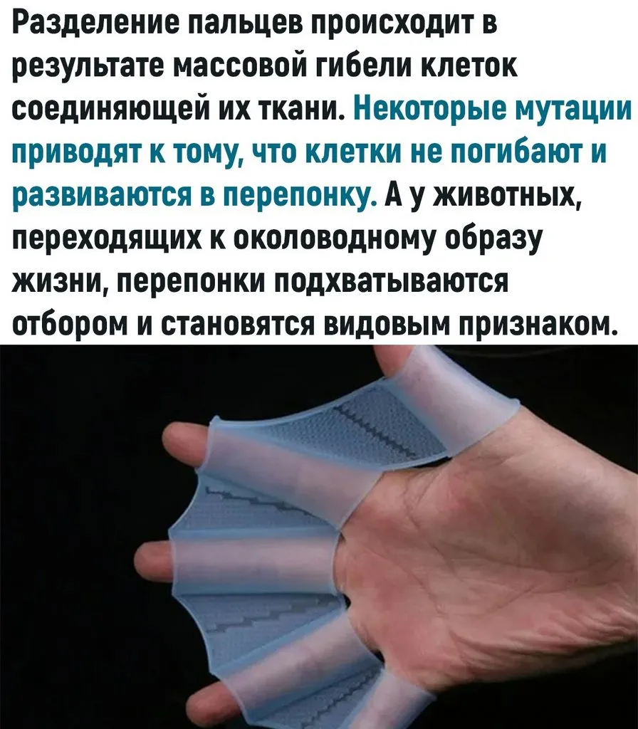 Это интересно!