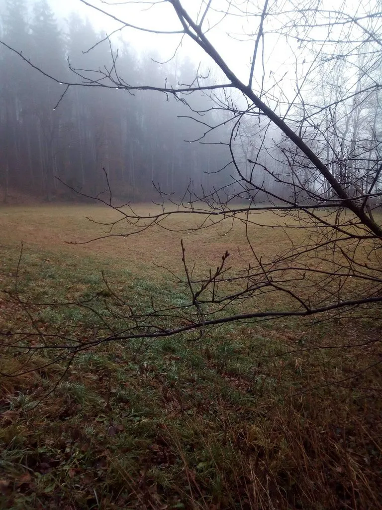 Чайная беседка