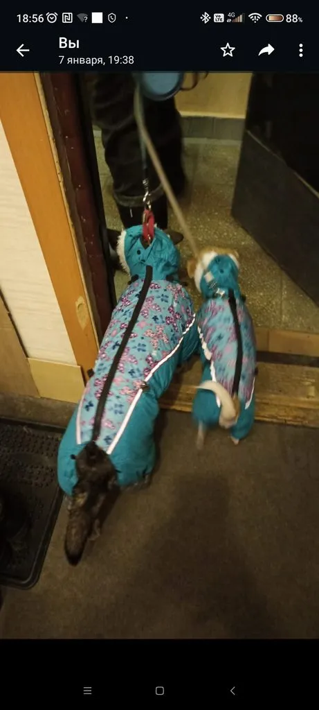 Чайная беседка