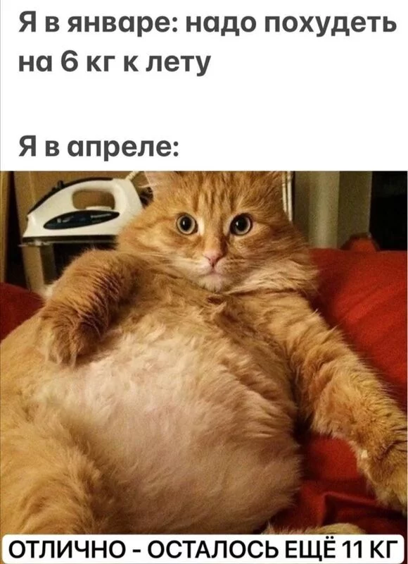 Посмеялся сам - поделись с другом!!!
