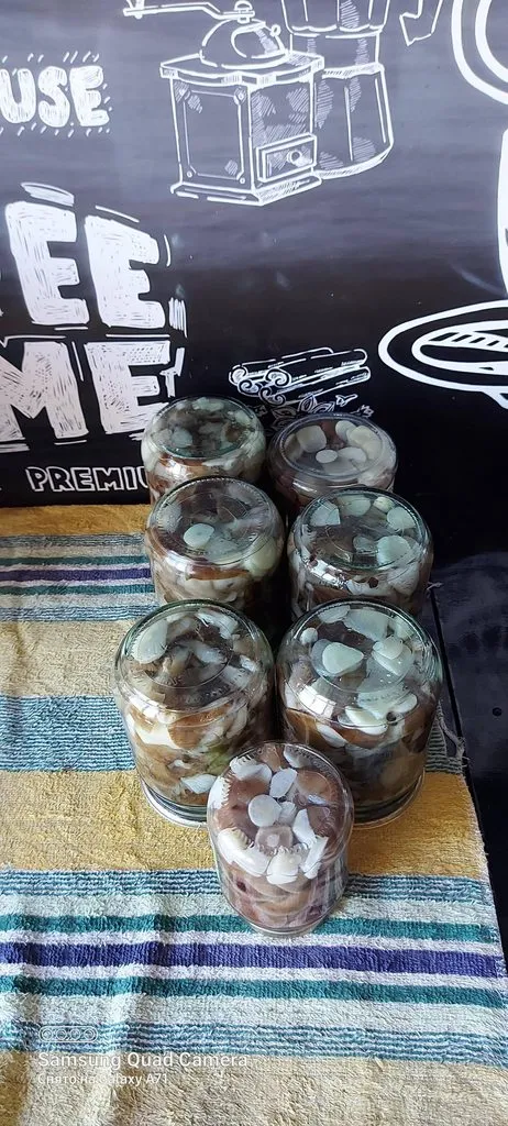 Чайная беседка