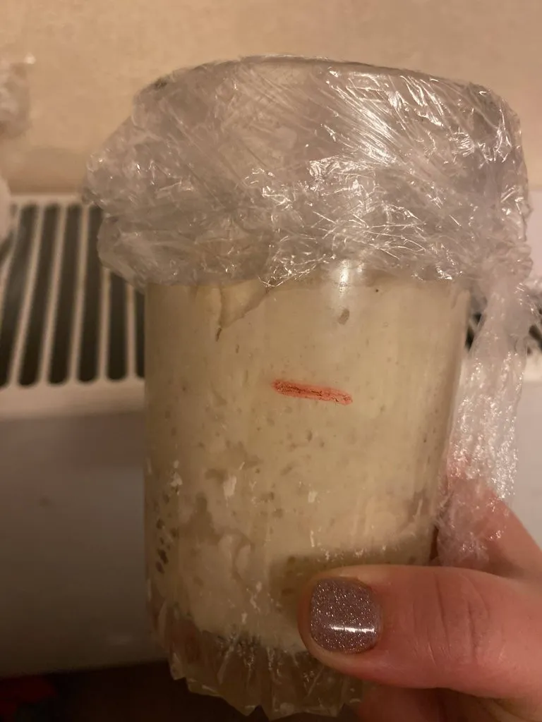 Итальянская закваска (Levito madre) - выращивание и уход