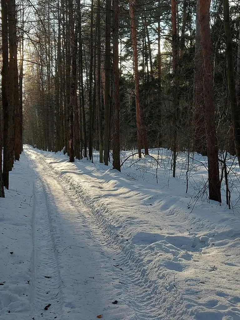 Чайная беседка