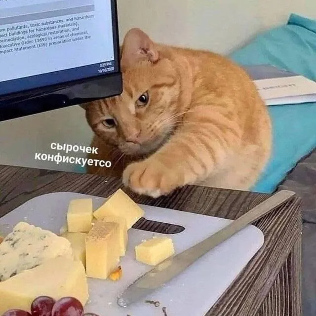 Кошичкина полиция