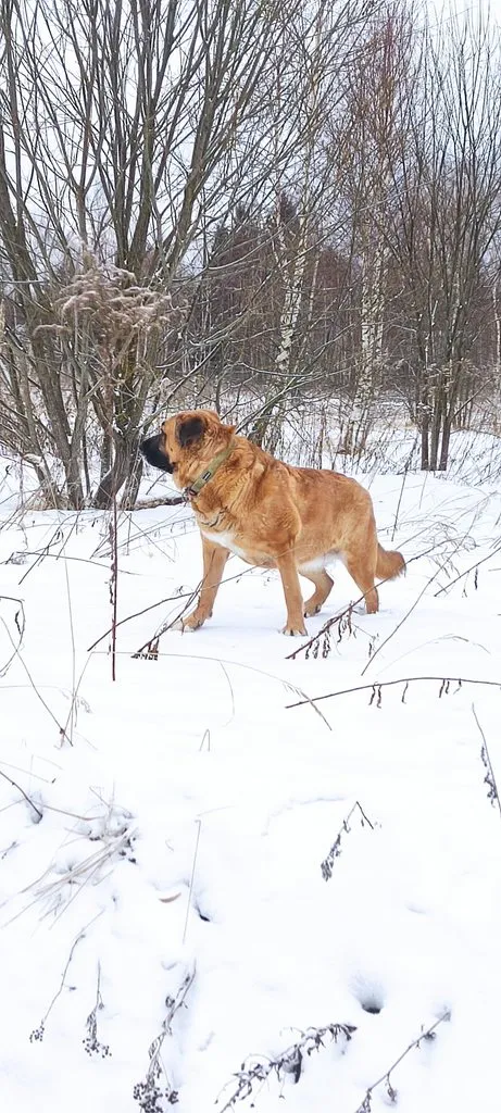 Вышивка крестиком