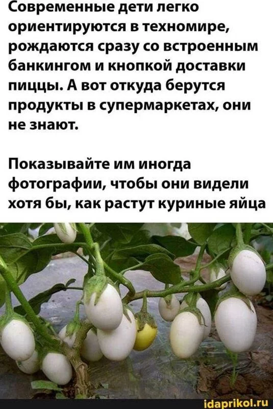 Посмеялся сам - поделись с другом!!!