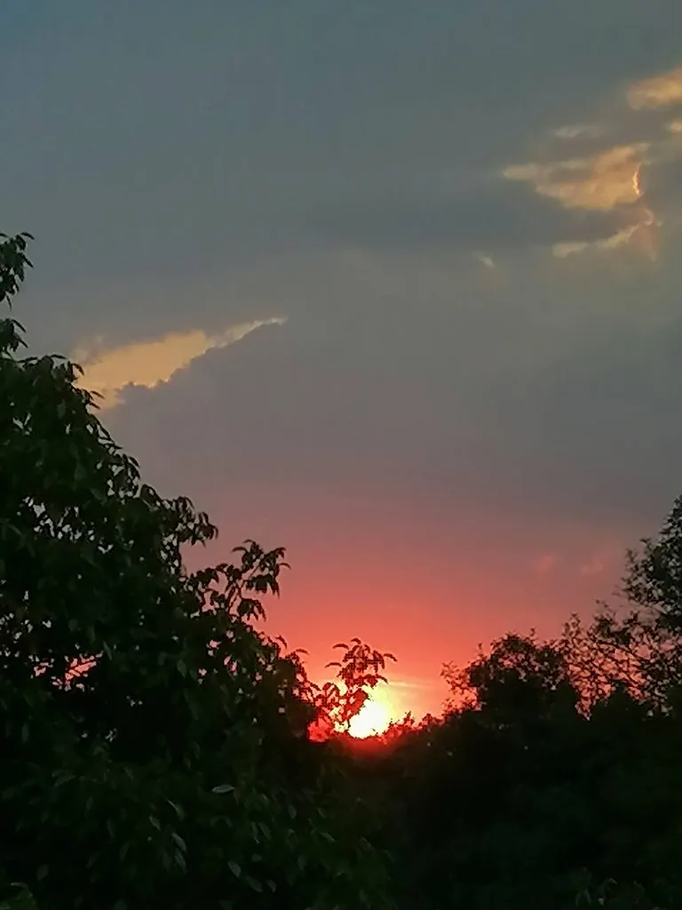 Чайная беседка