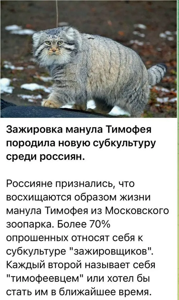 Посмеялся сам - поделись с другом!!!