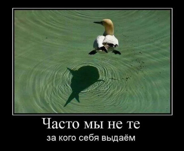 Посмеялся сам - поделись с другом!!!