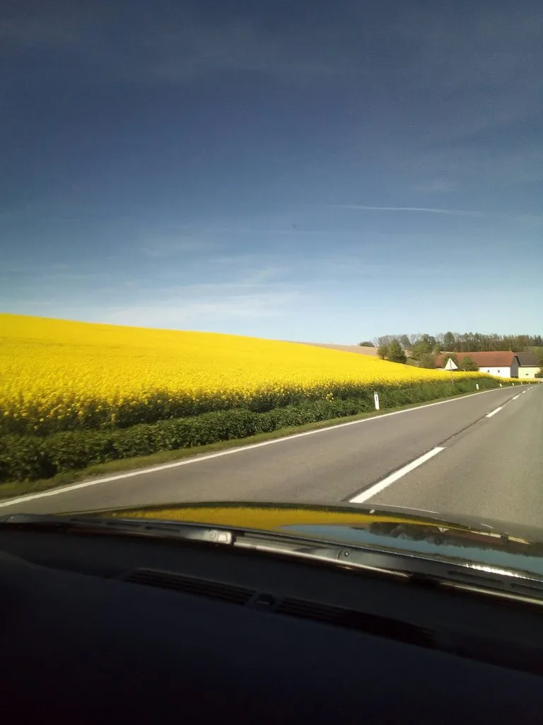 Tapтaлeтки & Ко