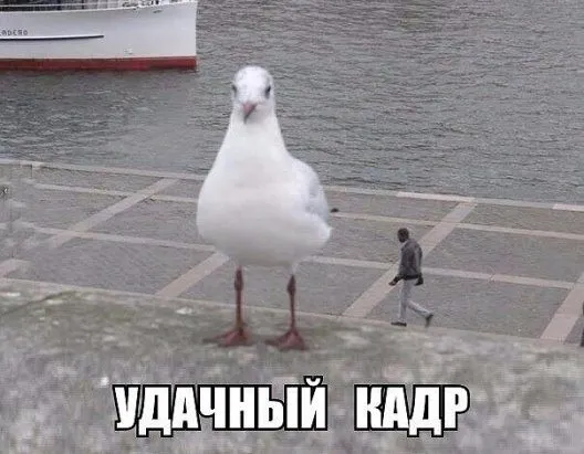 Посмеялся сам - поделись с другом!!!