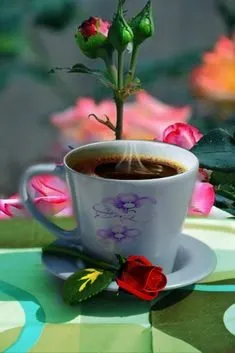 Tapтaлeтки & Ко