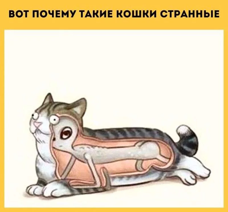 Посмеялся сам - поделись с другом!!!