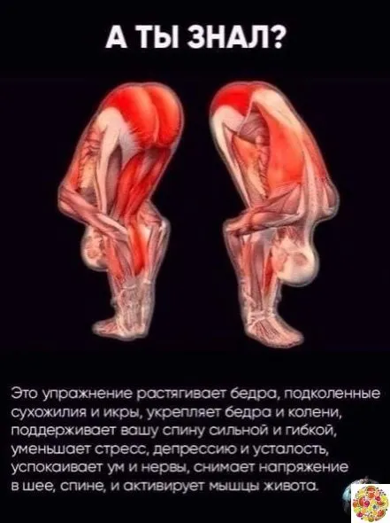 Медицинская инфографика