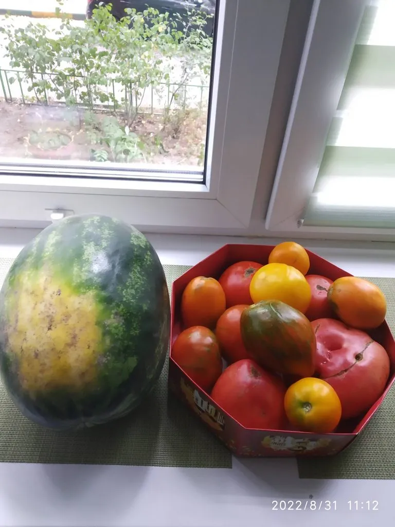 Чайная беседка