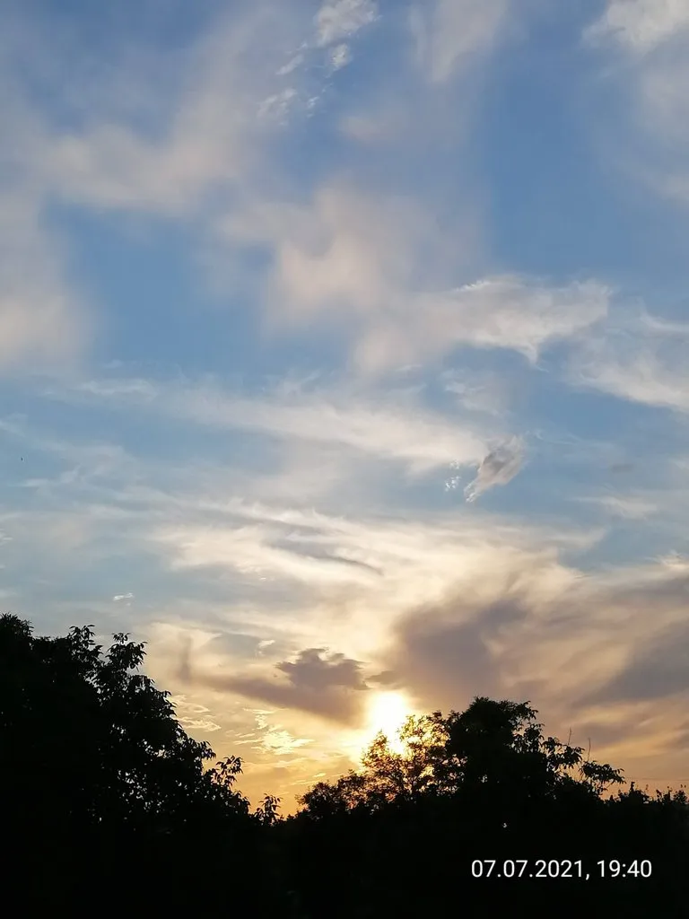 Чайная беседка