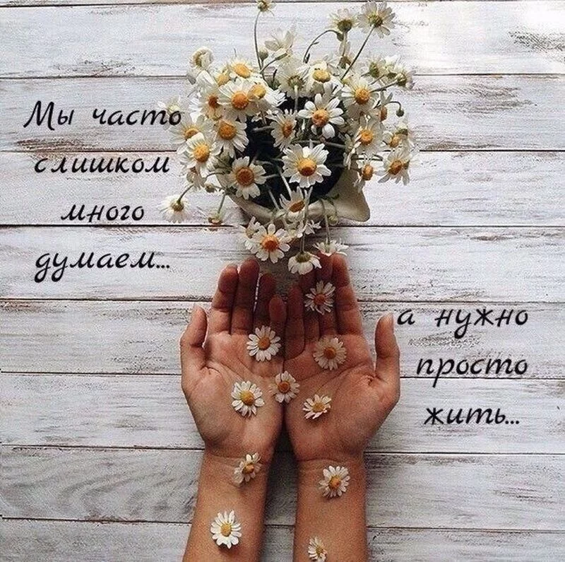 Кафе "У пани Сони"