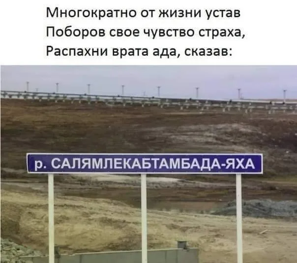 Всюду рифмы