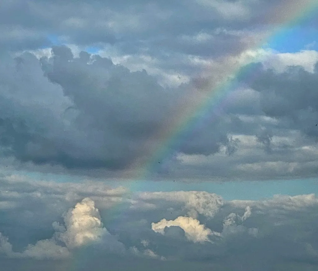 Такое разное небо