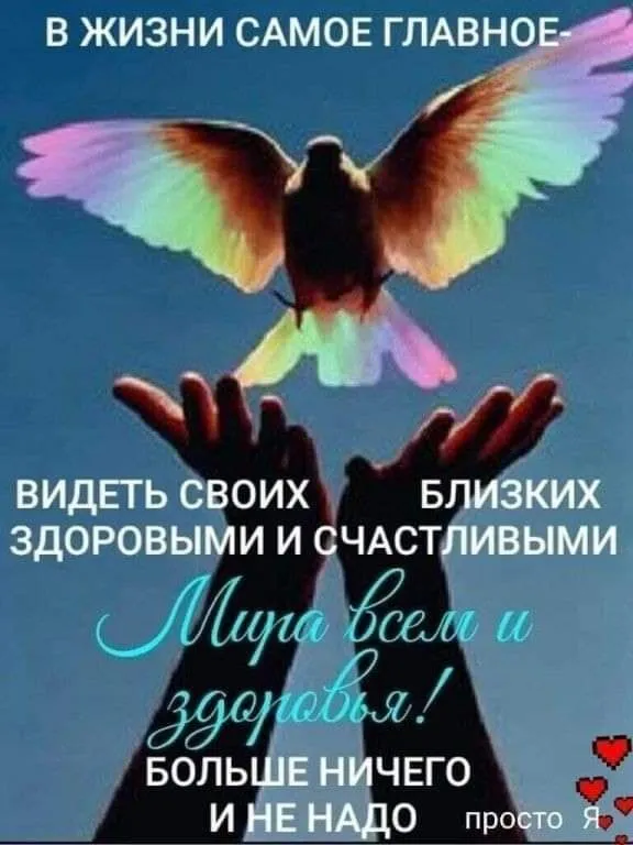 Кафе «У пани Сони»