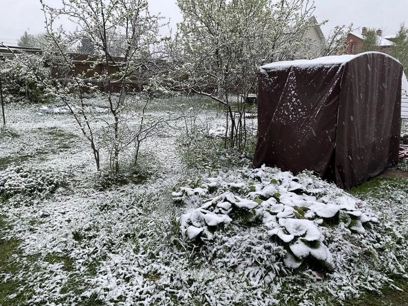 Загородная жизнь - обустройство на своей земле во всем ее разнообразии