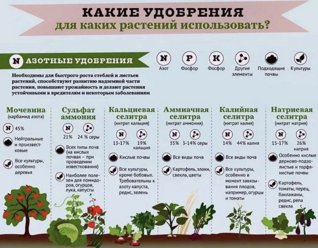Домашняя инфографика