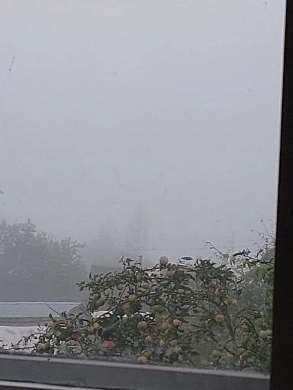 Такое разное небо