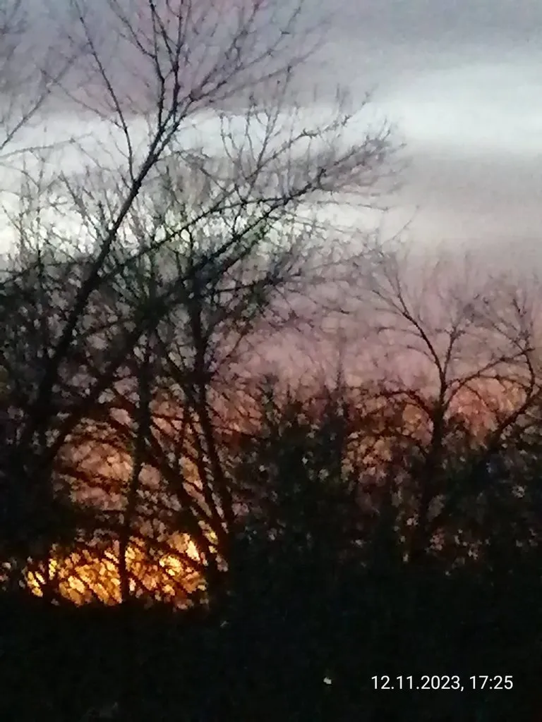 Такое разное небо