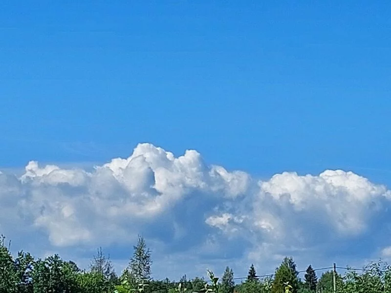 Такое разное небо