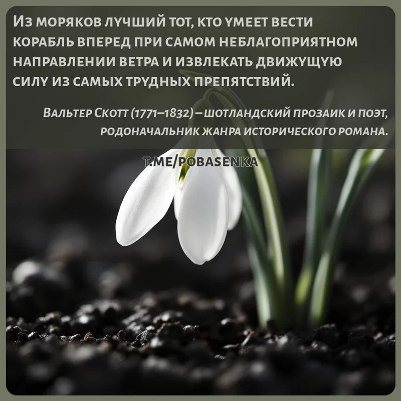 «Из моряков лучший тот, кто умеет вести корабль вперед при самом неблагоприятном направлении ветра и извлекать движущую силу...» height="550" width="550"