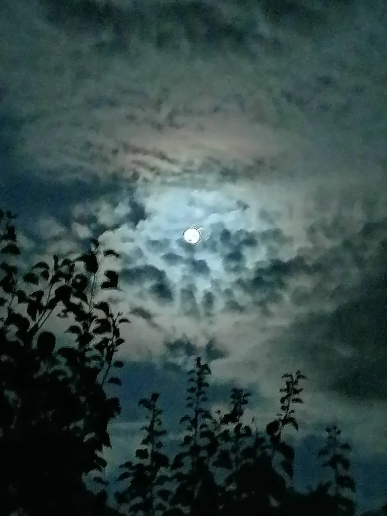 Чайная беседка