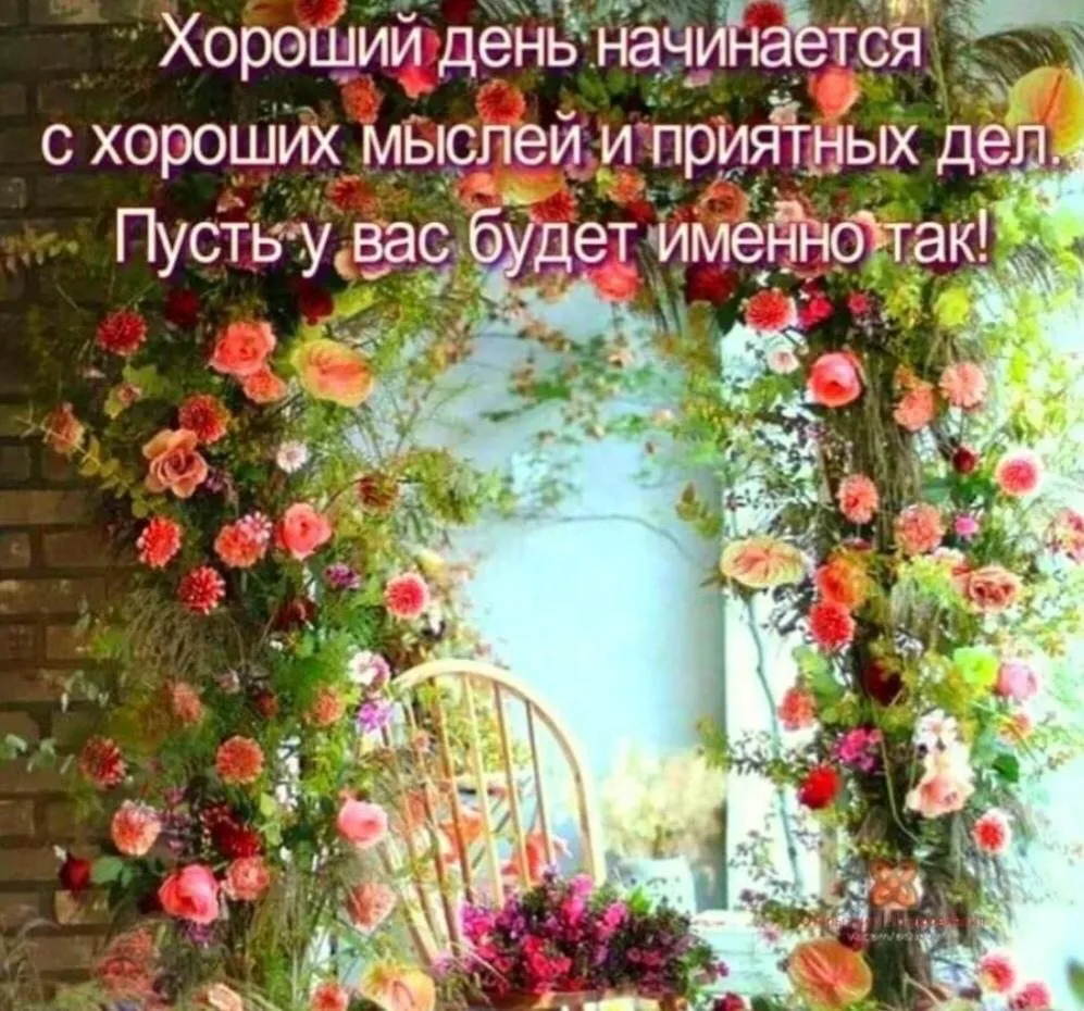 Чайная беседка