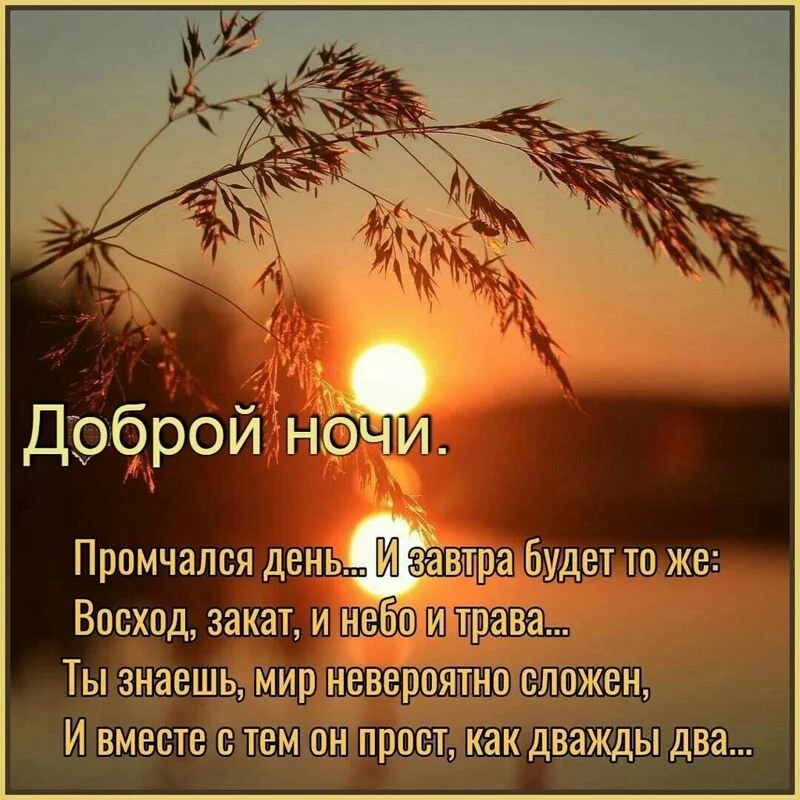 Кафе "У пани Сони"