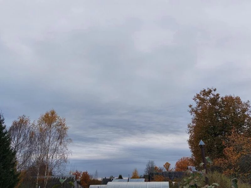 Такое разное небо