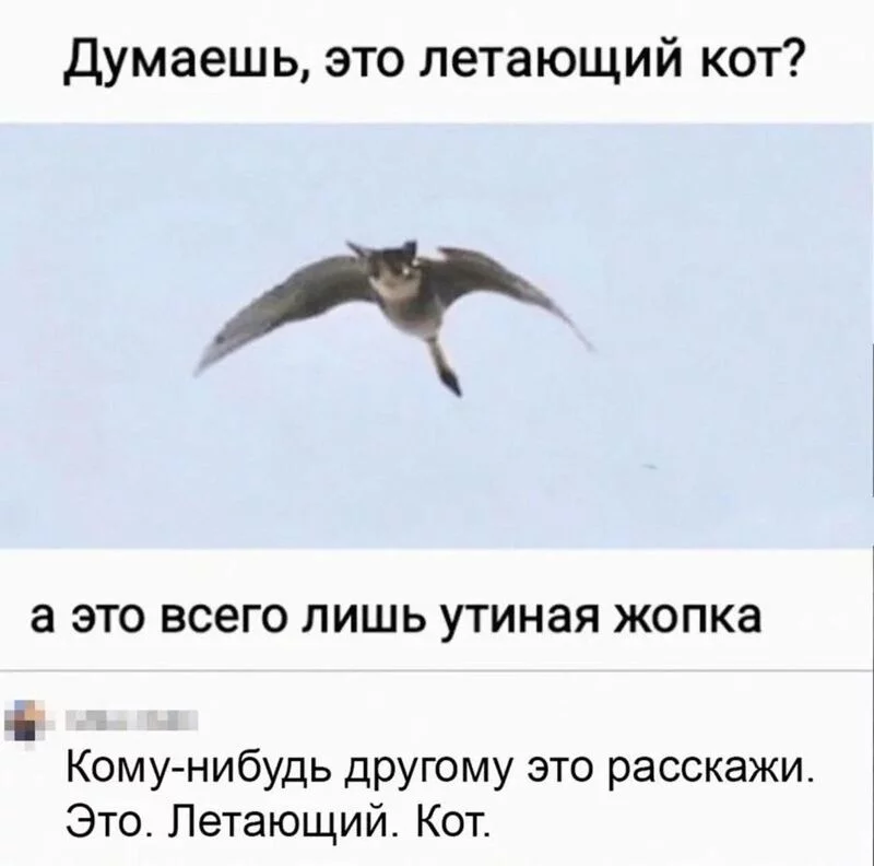 Посмеялся сам - поделись с другом!!!