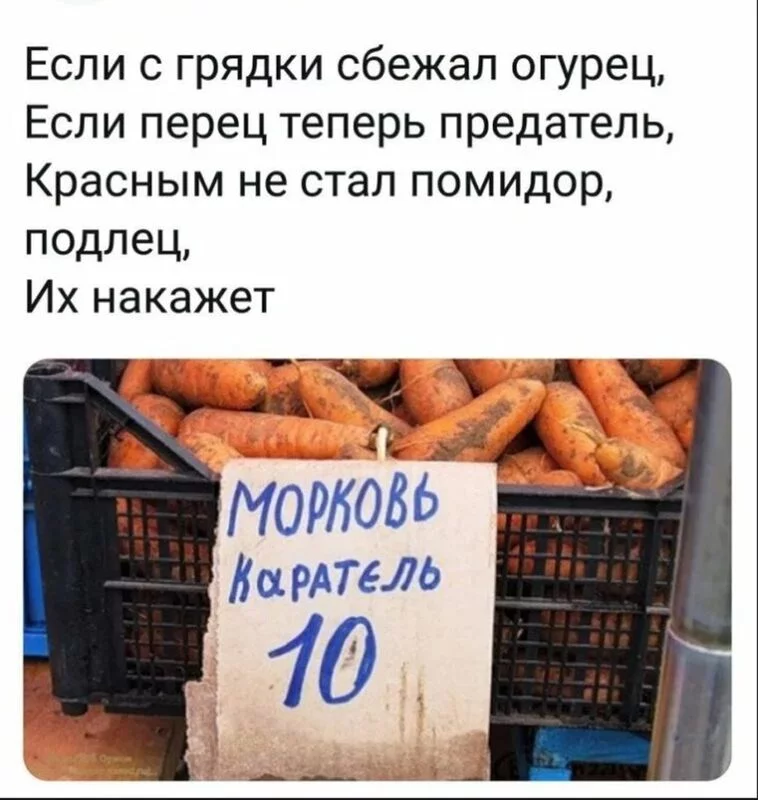 Всюду рифмы