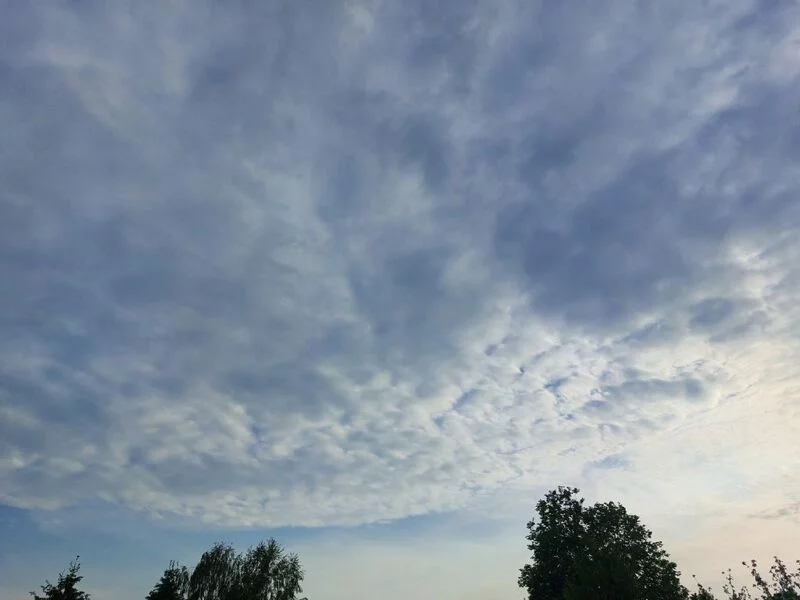 Такое разное небо