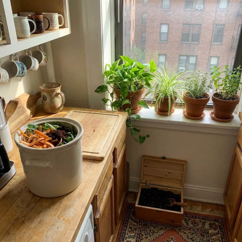 Zero Waste на кухне: с чего начать