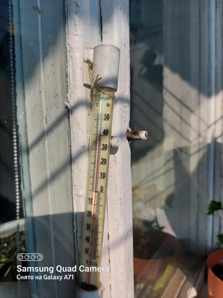 Чайная беседка