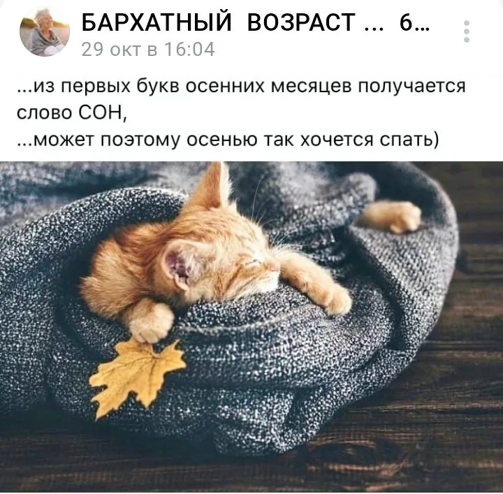 Кафе "У пани Сони"