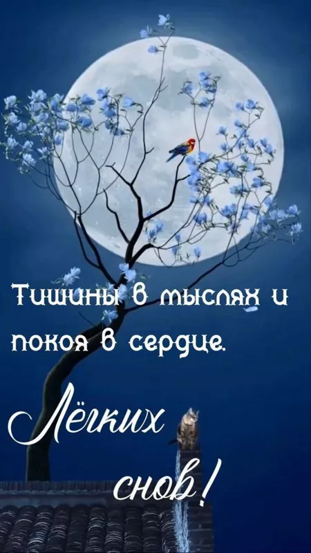 Кафе "У пани Сони"